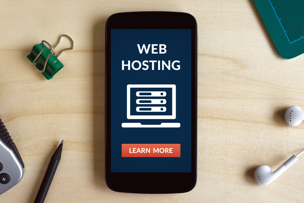 Affordable Web Hosting Services - Webvision Solution